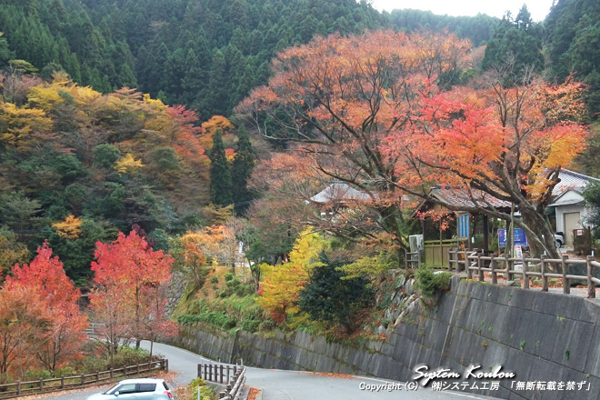 秋には紅葉が美しい白糸の滝「ふれあいの里」