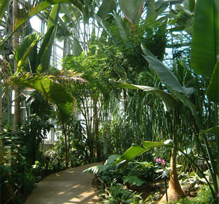 響灘緑地グリーンパークにある熱帯生態園