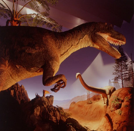 北九州市立自然史・歴史博物館には恐竜がいっぱい
