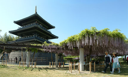 吉祥寺公園には三重の塔風の展望台や広場、ふじ棚などがある