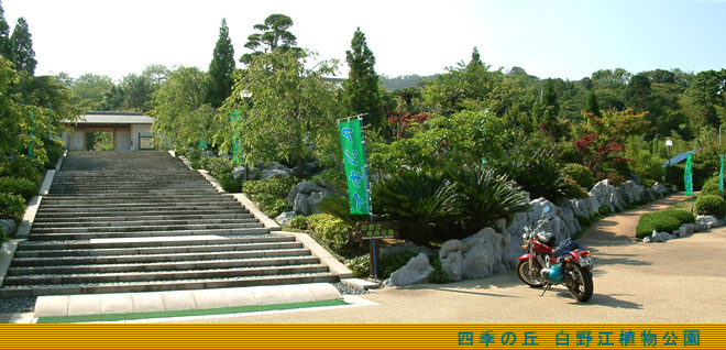 緑がいっぱいの白野江植物公園入口にて