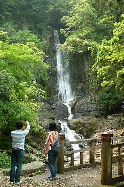 北九州市で最大の滝である菅生の滝