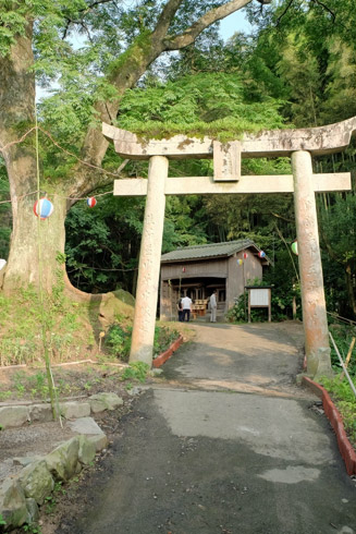 須賀神社（通称お祇園様）の鳥居と栴檀（せんだん）の大木