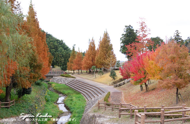秋には紅葉も楽しめる「本木川自然公園ほたるの里」