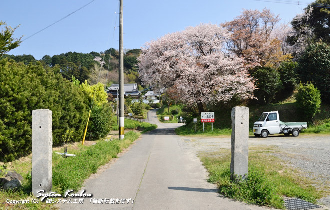 入口の桜が綺麗な曹洞宗東光山 医王寺（いおうじ）