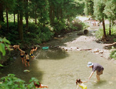 清滝の渓谷で夏は水遊びができる