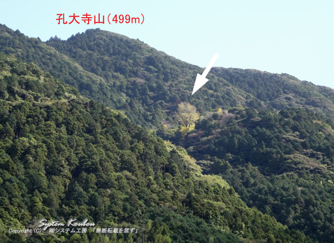 孔大寺山（499m）の七合目辺りにあり、参拝口（登山口）から約３０分登ることになる