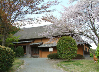 宮地嶽神社の民家村の桜