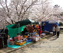 宮地嶽神社の桜開花時期には露店もたくさん出る