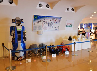 （株）テムザック(tmsuk)のロボットの展示