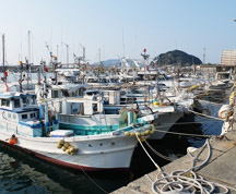鐘崎は県内でも有数の漁業の町