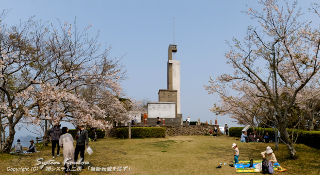 東郷公園は桜の名所でもある