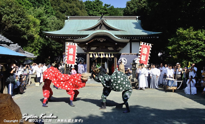 毎年９月９日、県内の秋祭りで最も早く行われる津屋崎金刀比羅神社の御神幸祭