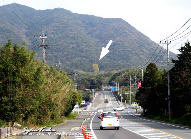 依岳神社（よりたけじんじゃ）の大イチョウは国道495号線の瀬戸交差点付近からも見える