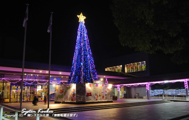 2011年のクリスマスツリー。幼稚園や企業のイルミがなくなり寂しくなった　（ 2011/12/20 撮影）