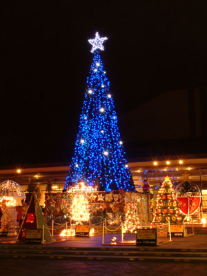 本館前のクリスマスツリー（12/1〜12/26日の午後５時〜午後10時まで点灯）