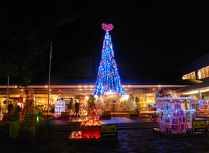 2007年のクリスマスツリー