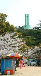 桜の名所「延命公園」