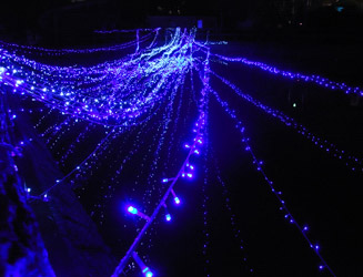 福島八幡宮の横の川にはイルミネーションが輝く
