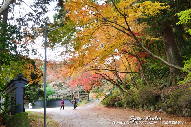 「筑豊御三家」のひとつに数えられた麻生家の別邸『麻生大浦荘』の入口の紅葉がきれい！