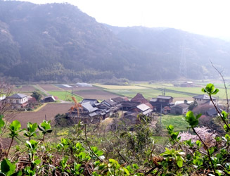 天徳寺から見る本庄の集落