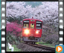 JRB Ln200n220DC fB[[J[iv{ L㒆wj ē